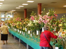 Foto: Dr. Peter Müller